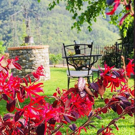 Green House Pieve di Teco Экстерьер фото