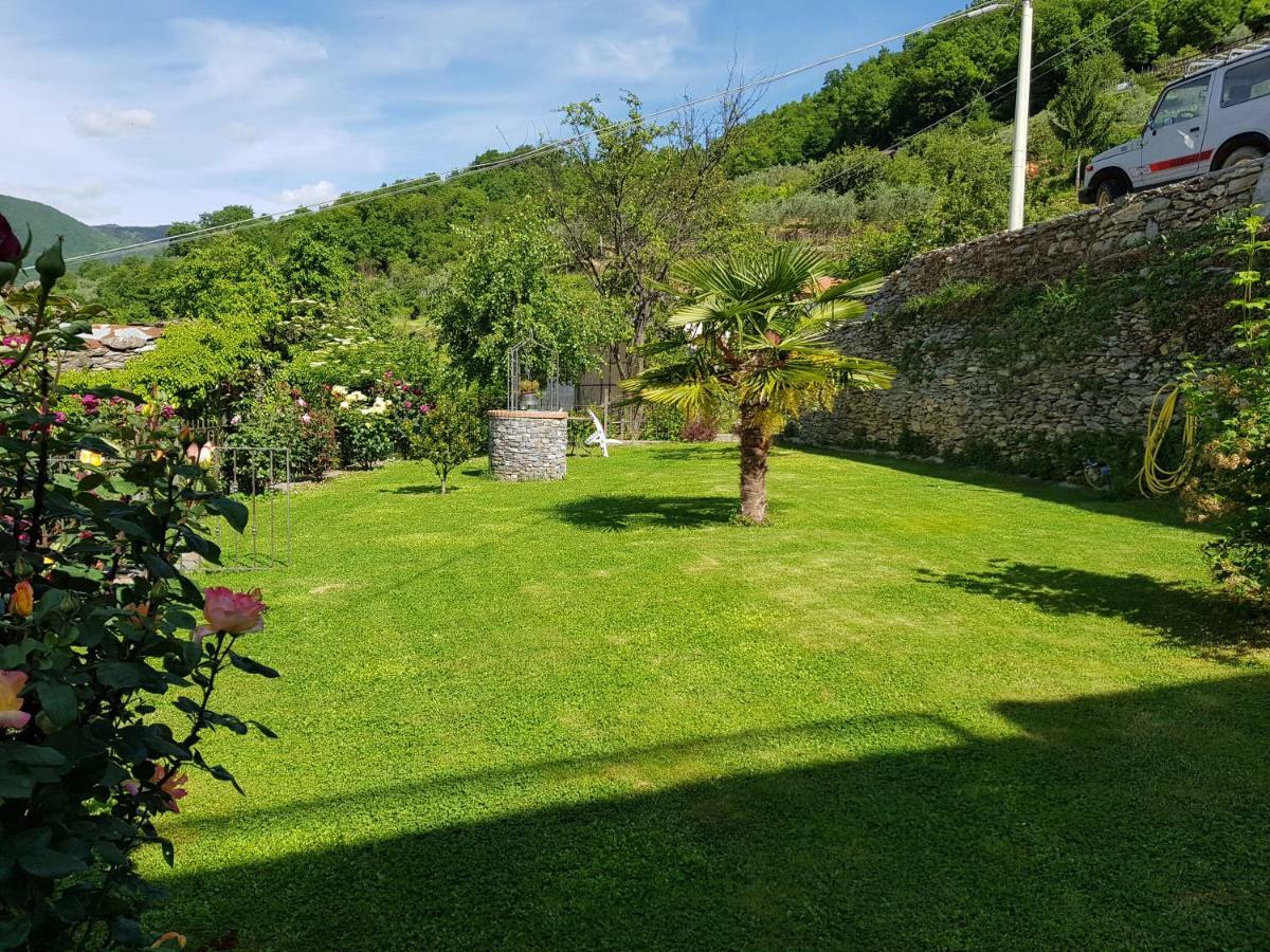 Вилла Green House Pieve di Teco Экстерьер фото