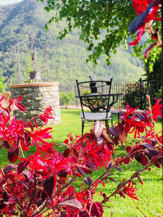 Вилла Green House Pieve di Teco Экстерьер фото